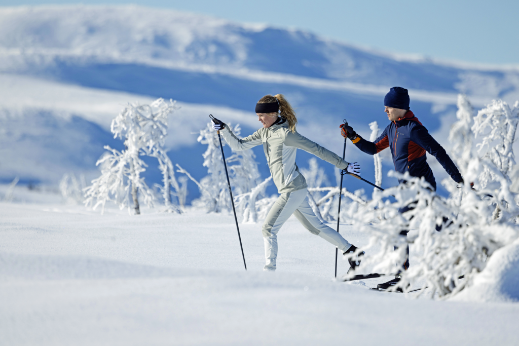 Fischer Twin Skin Cover