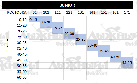 SALOMON AERO GRIP JR.png