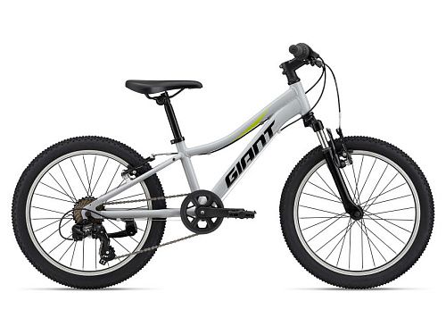 Велосипед Giant XtC Jr 20 2022 (One Size Серый)