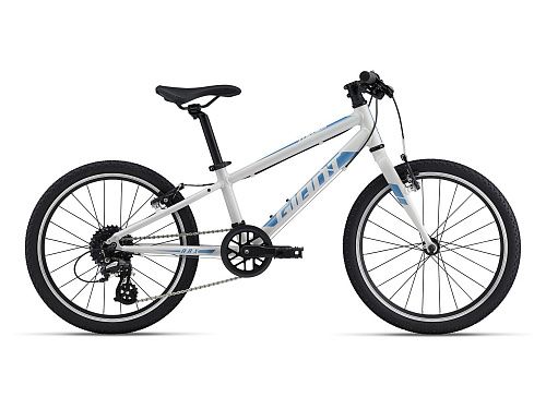 Велосипед Giant ARX 20 2022 (One Size Белый)