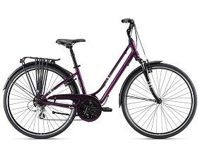 Велосипед GIANT LIV Flourish FS 2 2021