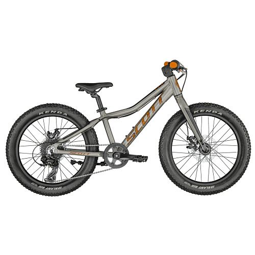 Велосипед Scott ROXTER 20 2023 (One Size Серебристый)