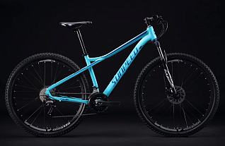 Велосипед SUNPEED ONE 29" 2025