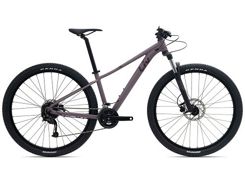 Велосипед GIANT LIV Tempt 29 3 GE 2022