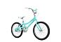 Велосипед Fuji ROOKIE 20 GIRL 2021 (One Size Бирюзовый)