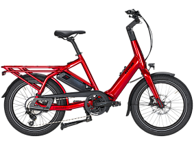 Велосипед KETTLER FAMILIANO C-10
