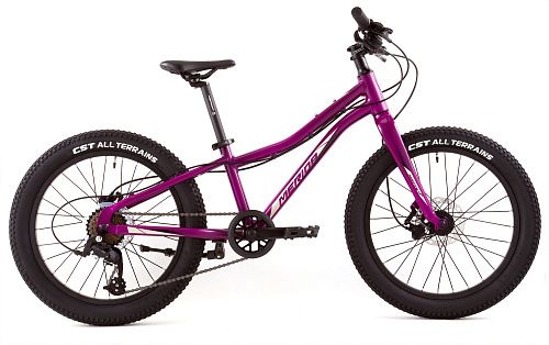 Велосипед MERIDA MATTS J.20+ Pro 2023 (One Size Фиолетовый)