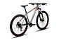 Велосипед POLYGON PREMIER 4 29 2023 (47см (L) Серый)