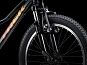Велосипед TREK Precaliber 20 7Sp Boys 2022 (One Size Черный)