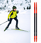 Беговые лыжи Atomic REDSTER S9 Junior 20-21 (169)
