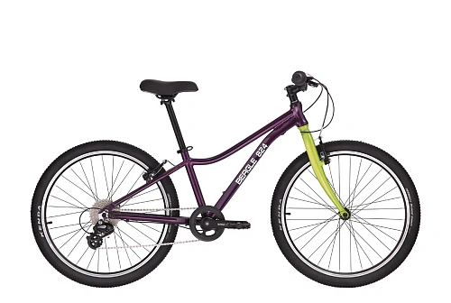 Велосипед BEAGLE 824 (One Size Фиолетовый/Зеленый)