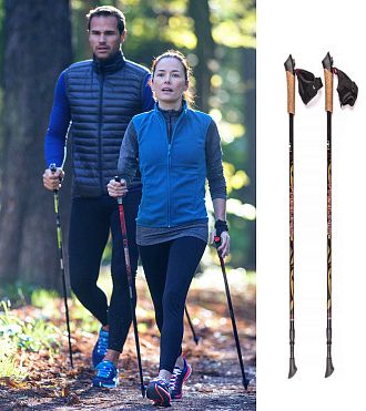 Палки д/скандинавской ходьбы FINPOLE NOVA 30 2-секционные, 30% карбон / 70% комп, черно-золотые